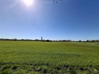 <p>Deze goed bereikbare percelen weideland ( geen bouwgrond ! ) is gelegen aan de rand van Sint Katelijne Waver. <br />U heeft er gemakkelijke toegang toe, zelfs met uw zware landbouwmachines via een doodlopende geasfalteerde straat. <br />Natuurlijk kan u dit perceel vruchtbare grond ook benutten om al uw buitengewassen op te telen. <br />Met een totale oppervlakte van ruim 1.55 hectare loont dit de moeite om te exploiteren. <br />Heeft u paarden of andere dieren en op zoek naar bijkomende weides? Ideaal want de percelen zijn gemakkelijk af te spannen. <br />Dank zij de rustige ligging zullen de dieren er in alle rust kunnen grazen. <br />Nieuwsgierig geworden? Neem dan vlug contact met VLIMMA Vastgoed op 0494.12.01.01 om verdere mogelijkheden te bespreken. <br />Heeft u een pand of gronden te koop, of wilt u gewoon een GRATIS SCHATTING? Ook daarvoor kan u ons contacteren op 0494.12.01.01</p>