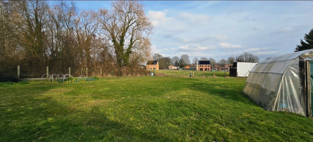 Grond te koop in Kuringen - foto 2