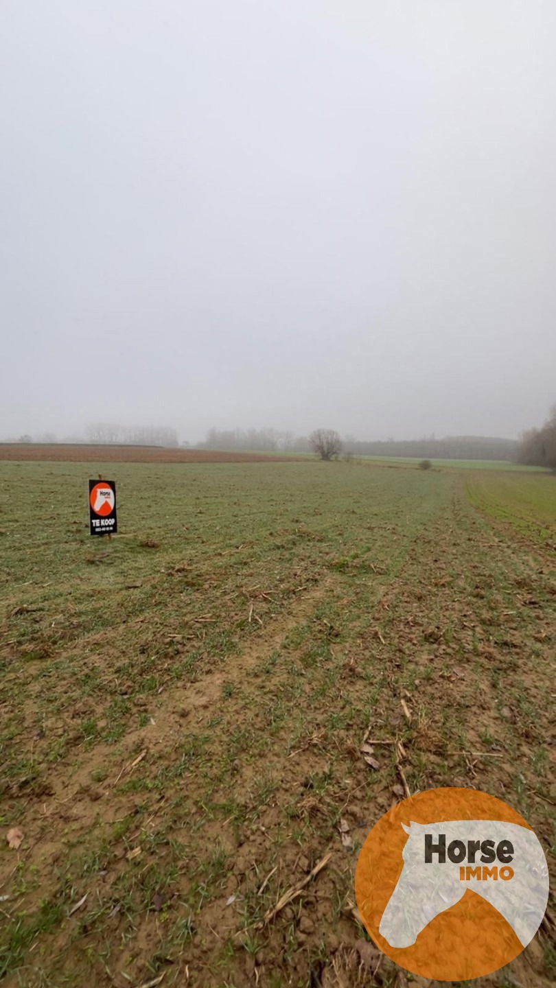 HERZELE - Landbouwgrond van 46are - foto 4