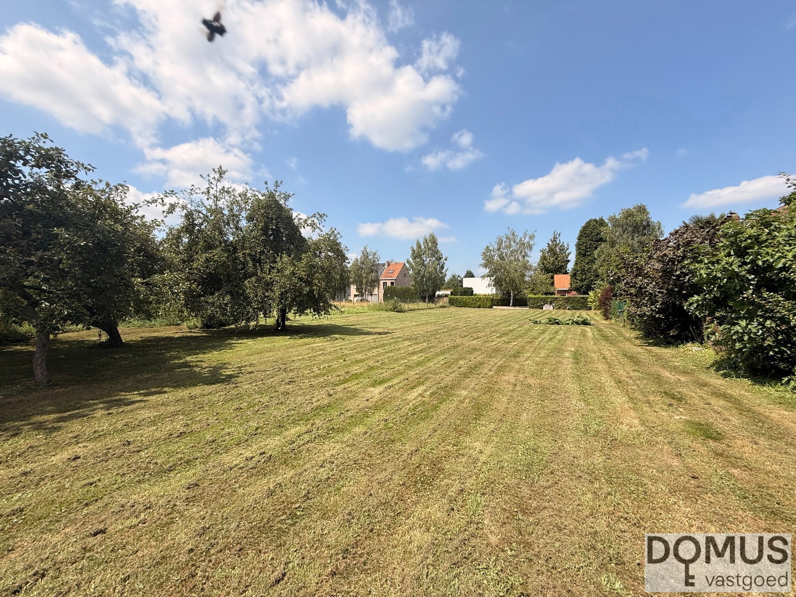 Land for sale in Wemmel - photo 5