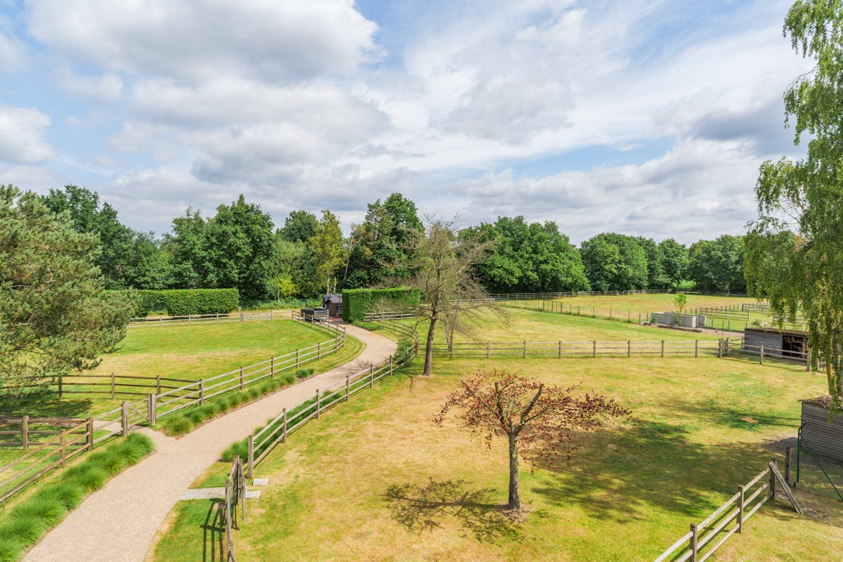 Villa avec espace de pratique et prairies à vendre à Geel - photo 3