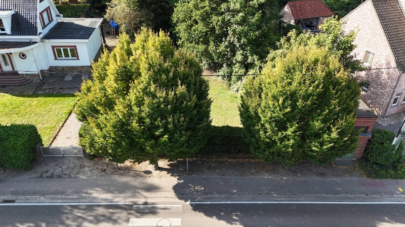 Perceel bouwgrond van 4a50ca voor open bebouwing - foto 5