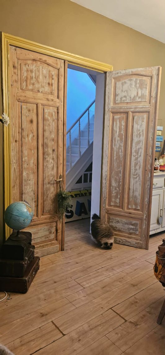 House for sale in Aalst with 4 bedrooms - photo 5
