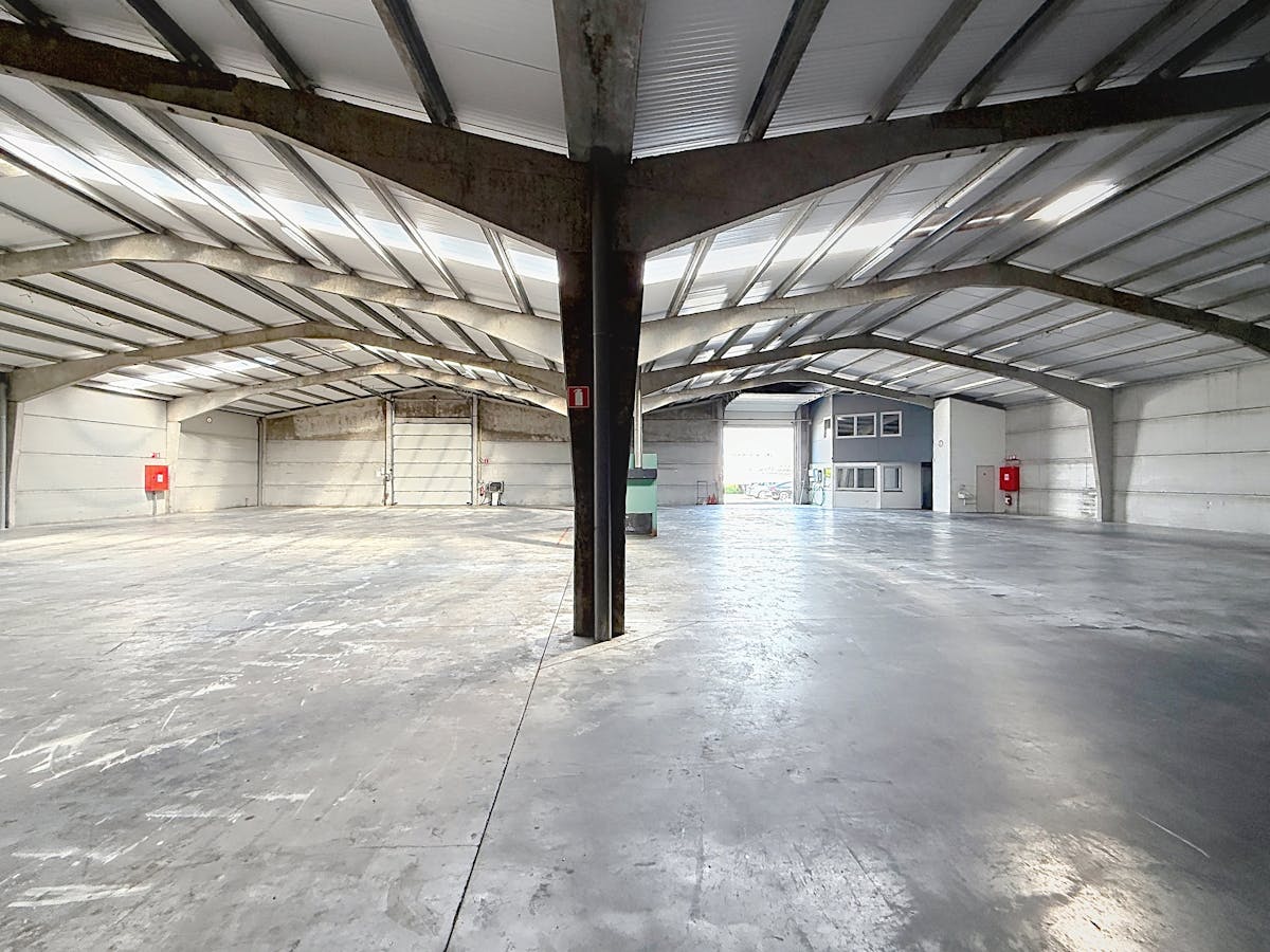 Entrepôt (1 050 m²) avec bureau (180 m²) à louer à Evergem - photo 5
