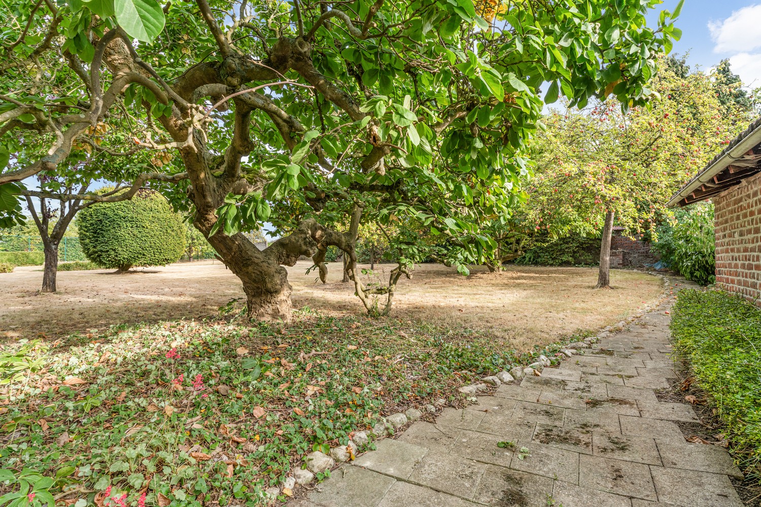 Maison à vendre à Sint-Pieters-Rode avec 5 chambres - photo 5