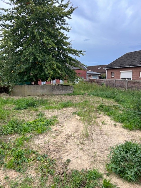 Kraaiennest st stefanusstraat Lot 3 3370 Millen - foto 3