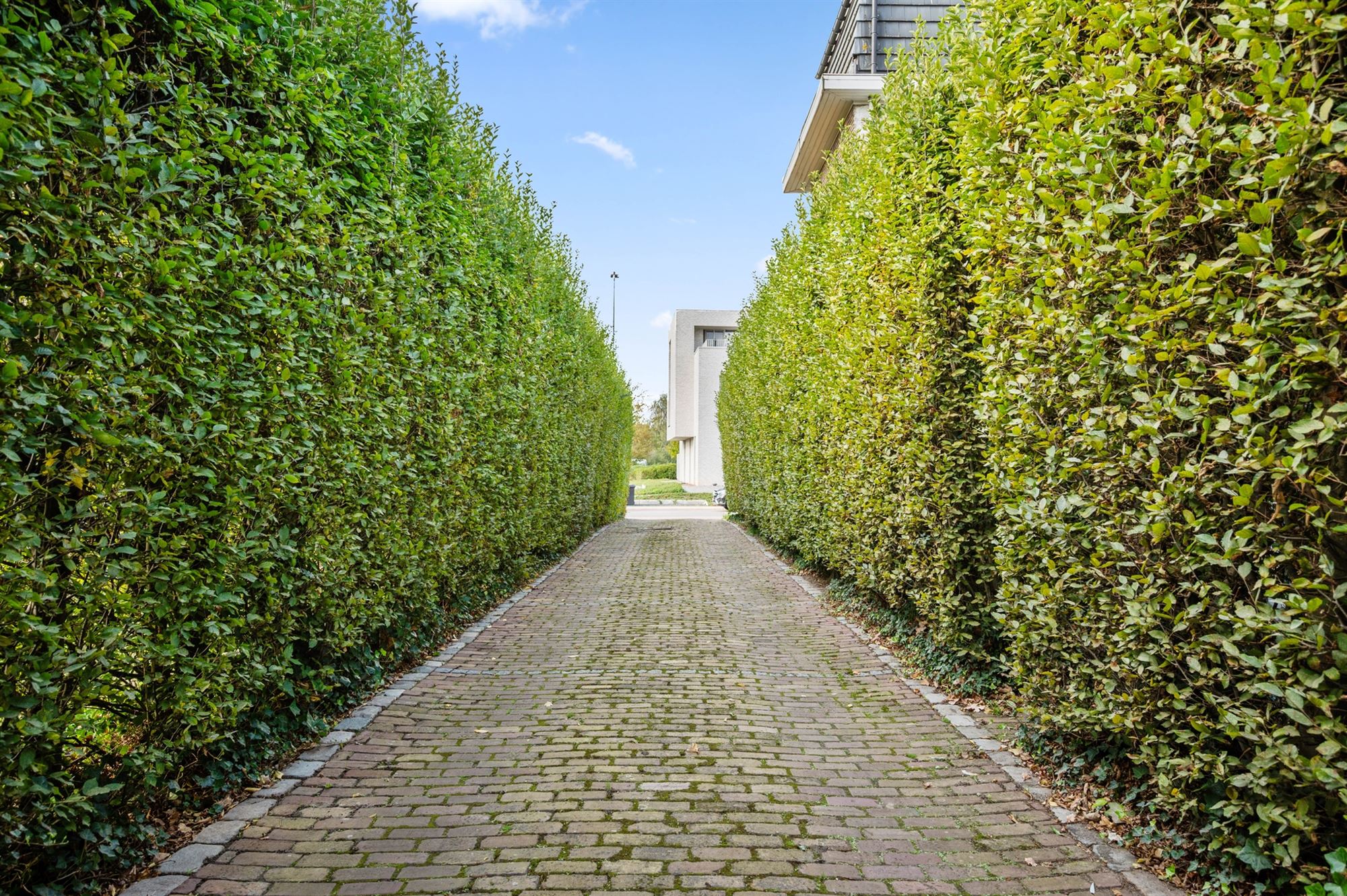 Maison à vendre à Aarschot avec 4 chambres - photo 4