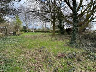 Bouwgrond te koop te HerentDeze prachtige bouwgrond is rustig en landelijk gelegen in de Haachtstraat te Veltem-Beisem. De grond heeft een...