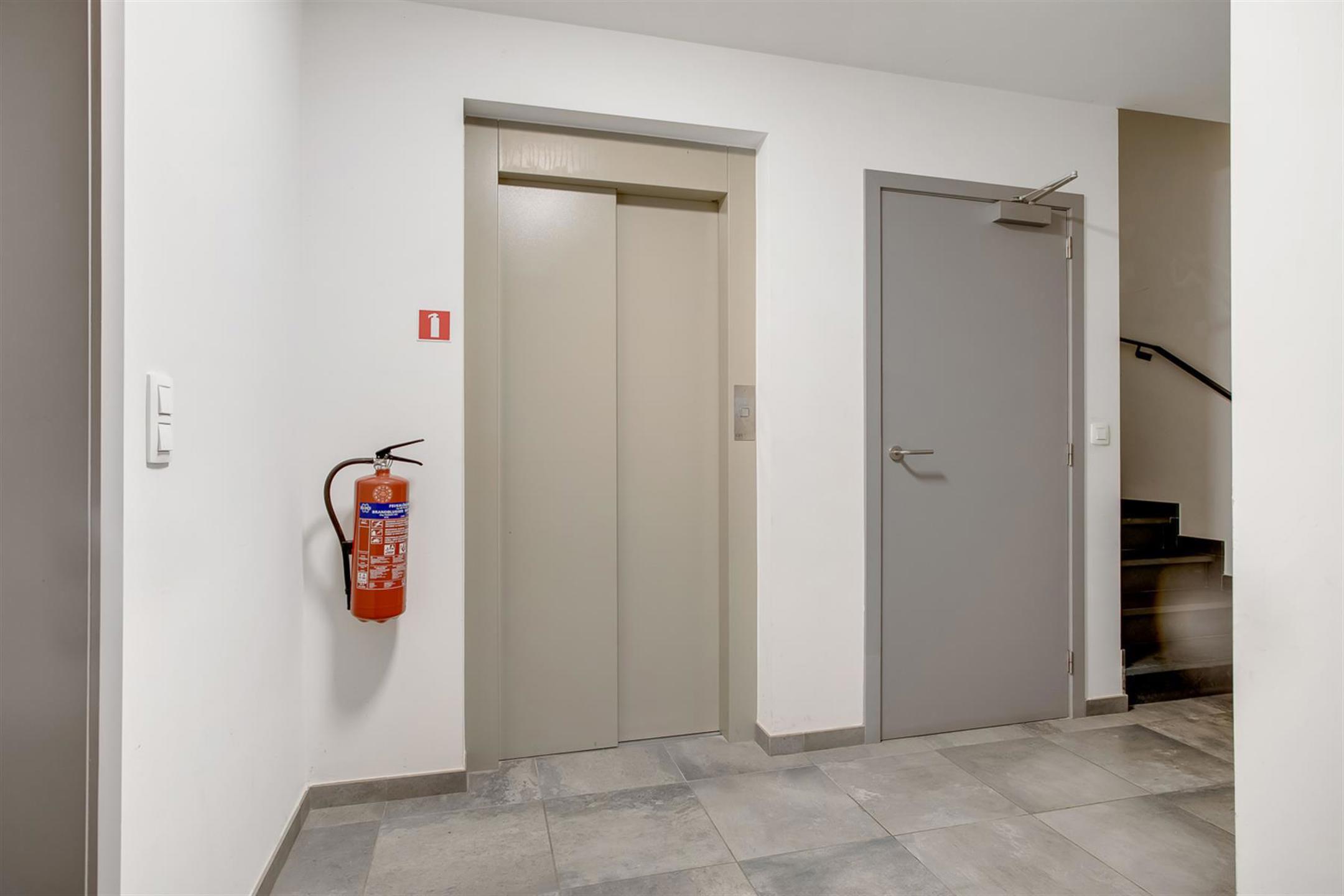 Appartement te huur in Ravels met 1 slaapkamer - foto 3