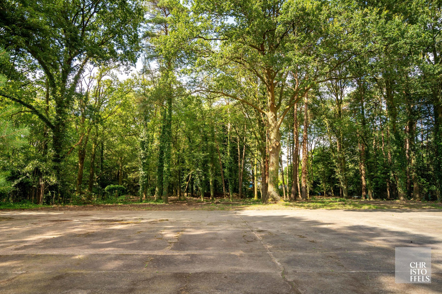 Deels gerenoveerde laagbouwvilla, residentieel gelegen in de bossen op een uitgestrekt perceel van 3.981m² - foto 5