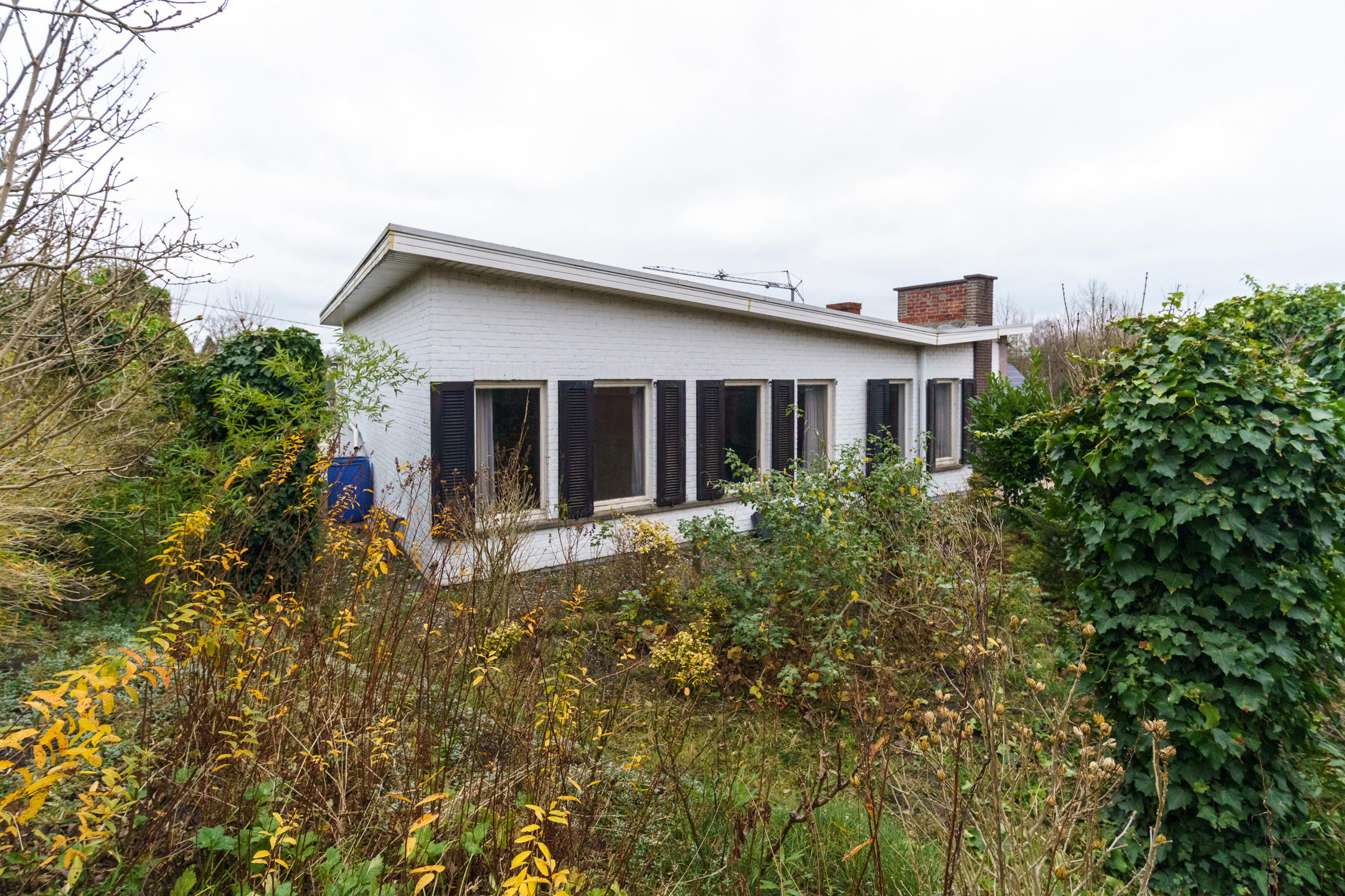 House for sale in Begijnendijk with 4 bedrooms - photo 2