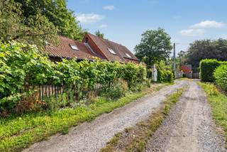 ALLE BEZOEKDAGEN VOLZET<br />TE KOOP IN RUISELEDE WINGENE - GEEN renovatieverplichting<br /><br />- Uitzonderlijk rustige, landelijke ligging in een doodlopende straat<br />- Twee basisscholen elk op 3 km afstand<br />- de achterkant van het huis kijkt uit op een bos, de voorkant op het zuiden met een prachtig zicht op een naar beneden glooiend veld.<br />- Volledig agrarische zone dus geen risico op extra bebouwing.<br />- Zeer veel bergruimte<br />- Charmante tuin rondom het huis met schaduwplekjes, zonneplekjes, moestuin, kippenren <br /><br />In het linkergedeelte (1953):<br />- Idyllisch overdekt terras en inkomdeur naar de eerste leefruimte<br />- Dubbele woonruimte met halfopen keuken (op te frissen)<br />- Achter de keuken 2 bergruimtes met toegang tot de tuin<br />- Vaste trap naar een eerste slaapkamer<br /><br />In het rechtergedeelte (1993):<br />- Inkomhal<br />- Grote ontspanningsruimte/woonkamer met houten vloer en toegang naar het oudere gedeelte<br />- Garage/atelier met extra berging<br />- Carport<br />- Vaste trap naar twee ruime slaapkamers met dressing en berging<br />- Ruime, lichtrijke badkamer met ligbad, inloopdouche, lavabo, toilet<br /><br />Deze buitenkans is onmiddellijk beschikbaar bij akte (niet meer bewoond). Het gebouw is mooi centraal ingeplant op het perceel waardoor de tuin overal goed toegankelijk is.<br />Laat u verleiden door de foto's en indien u meer informatie of een bezoek wenst, vul dan bij voorkeur eerst uw gegevens in via de contactknop en dan bel ik u spoedig op.<br /><br />Laurens Deprez 0496-20 64 64 - VANAF PRIJS ! De opgegeven informatie en oppervlaktes zijn informatief en niet bindend.