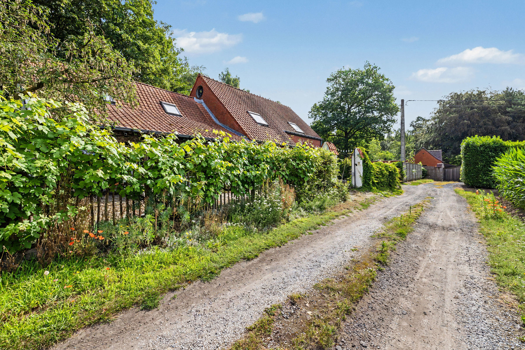 Paradijsje in het groen - op te frissen landgoed - foto 3