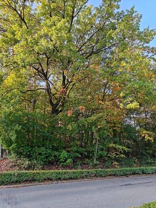 Droomt u ervan om uw eigen woning te bouwen op een ruime bouwgrond, op een interessante locatie vlak bij het centrum van Houthalen? Dan is deze prachtige bouwgrond op de Herebaan West in Houthalen-Helchteren misschien wel precies wat u zoekt!<br /><br />📐 Een uitzonderlijk ruim perceel met interessante bouwmogelijkheden<br />Dankzij de royale oppervlakte beschikt u over heel wat mogelijkheden om uw toekomstige woning vorm te geven. Of u nu droomt van een moderne architecturale woning, een tijdloze gezinswoning met veel leefruimte of een stijlvolle woning met een ruime tuin: op deze locatie krijgt u de kans om uw eigen woonproject uit te werken. De standaard bouwvoorschriften zijn van toepassing, met een maximale bouwdiepte van 17 meter op het gelijkvloers en 12 meter op de verdieping. Zo kunt u nadenken over een praktische indeling, ruime leefruimtes en een woning die perfect past bij uw gezin en uw toekomstplannen. 🏠🌳 <br /><br />📍 Toplocatie vlak bij het centrum van Houthalen<br />Niet alleen de perceelsgrootte maakt deze bouwgrond bijzonder interessant, ook de ligging is een grote troef. De grond bevindt zich op de Herebaan West, in de nabijheid van het centrum van Houthalen-Helchteren. Hierdoor geniet u van een praktische woonomgeving met voorzieningen en winkels binnen handbereik. 🛍️ Bovendien ligt het perceel naast het Inspirocollege, een middelbare school, wat de locatie extra herkenbaar maakt voor wie de omgeving kent. Ook voor gezinnen die graag in de buurt van voorzieningen wonen, kan deze ligging bijzonder aantrekkelijk zijn. 🎒📚<br /><br />🌿 Ruimte, comfort en uw eigen stukje groen<br />Met maar liefst 2.590 m² grondoppervlakte biedt dit perceel veel meer dan alleen plaats voor een woning. U kunt ook dromen van een grote tuin, een gezellig terras, groene borders of een aangename buitenruimte waar u in alle rust kunt genieten van zonnige dagen en lange zomeravonden. ☀️🌱<br /><br />Stedenbouwkundige info:<br />woongebieden – geen bouwvergunning – geen rechterlijke herstelmaatregel of bestuurlijke maatregel opgelegd – geen voorkooprecht - geen verkavelingsvergunning. <br /><br />O-peil: niet overstromingsgevoelig<br /><br />P-score: A