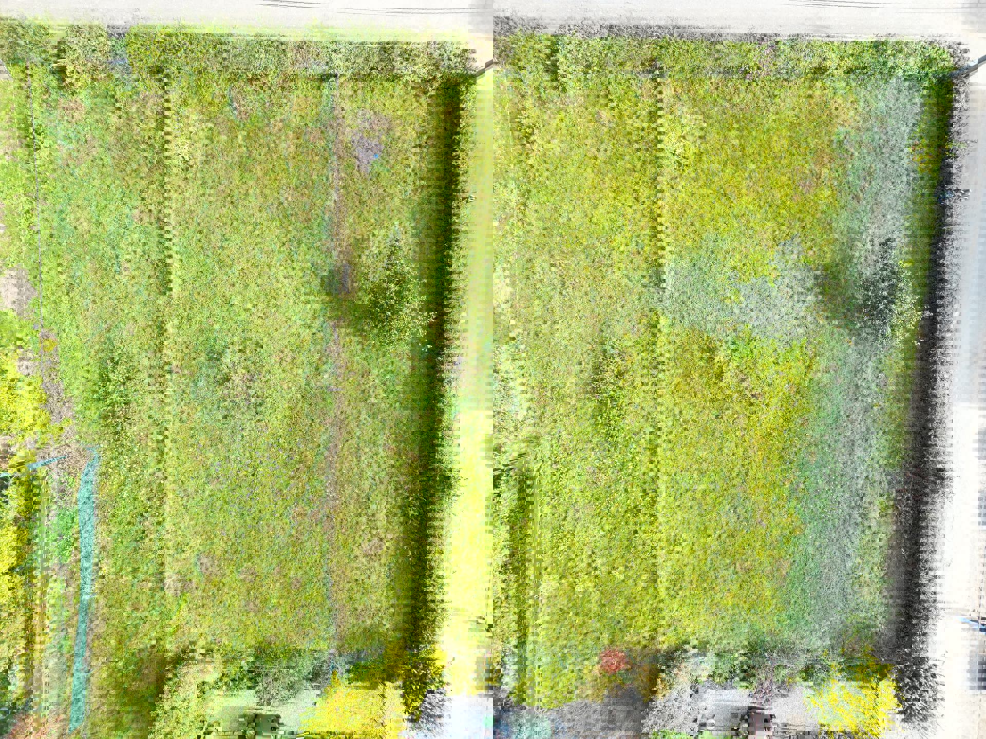 Grond te koop in Marchin - foto 4