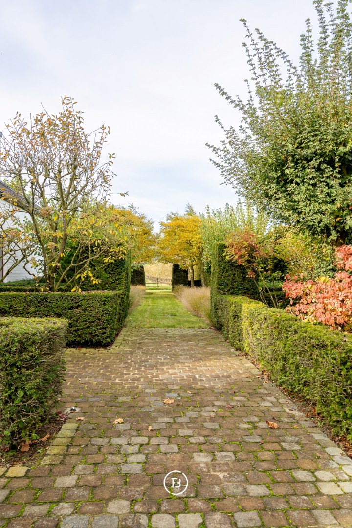 Damme polders - photo 3