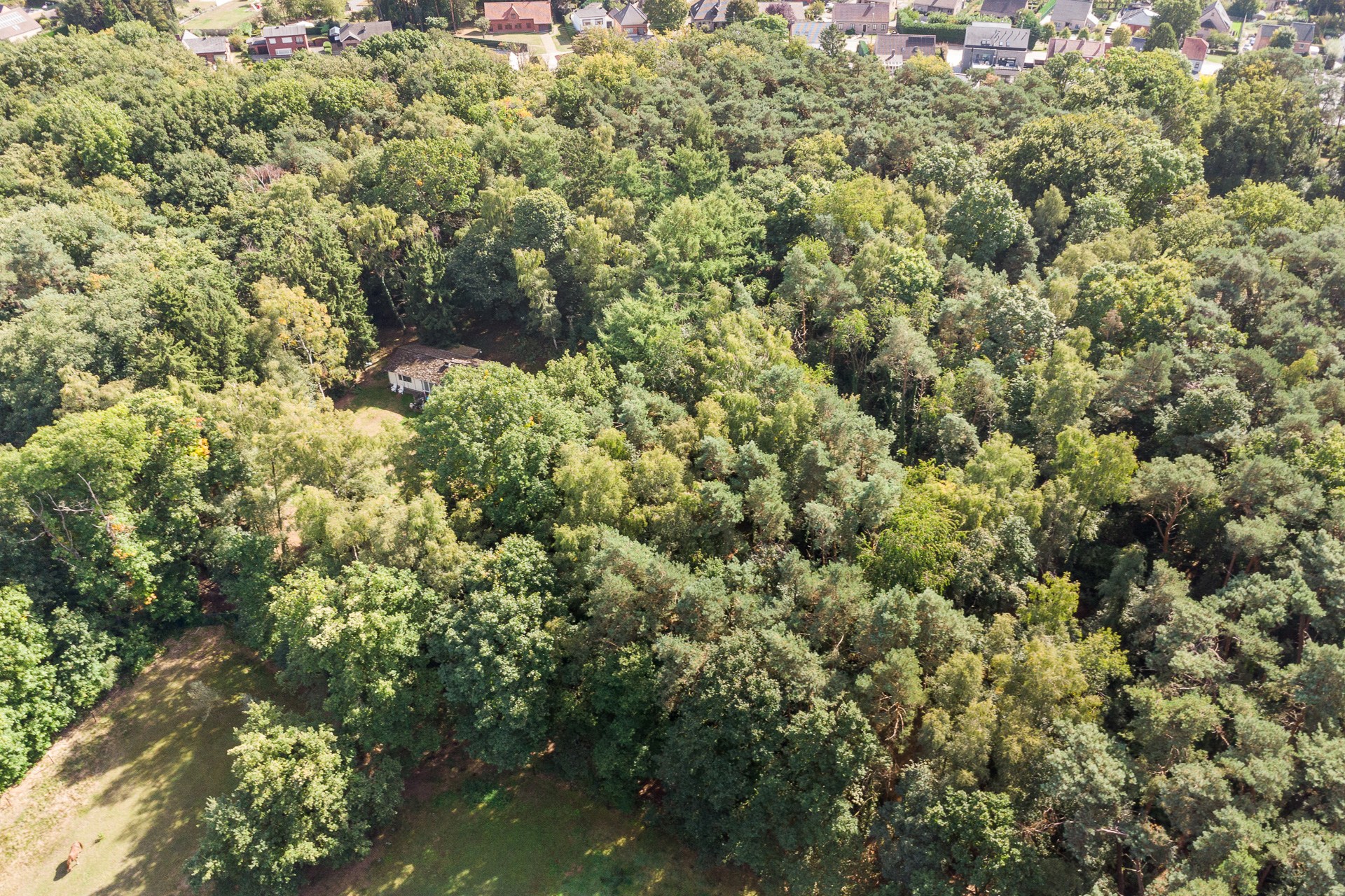 Terrain à vendre à Lummen - photo 3
