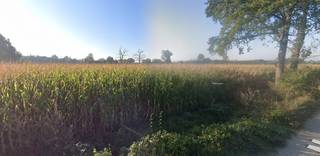 Terrain à vendre à Mol