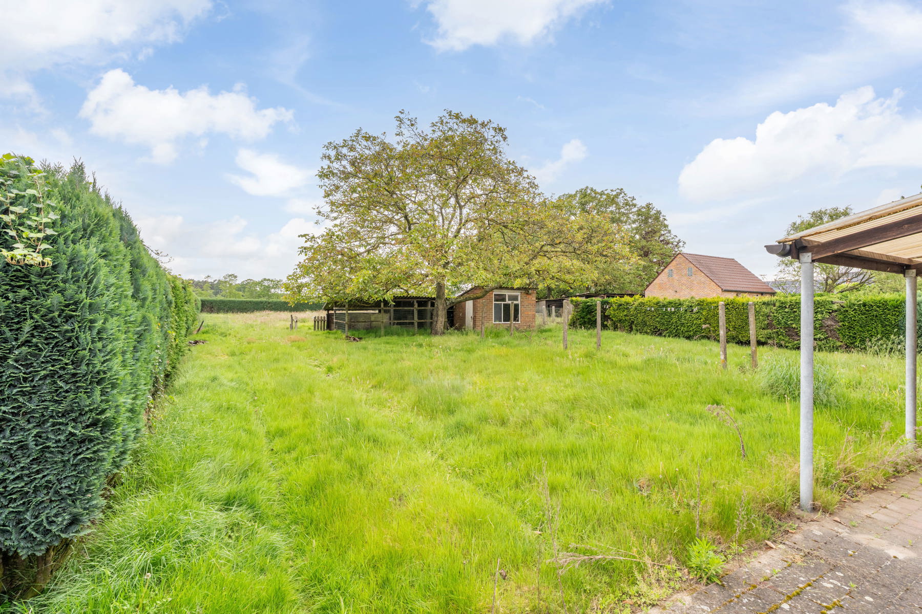 House for sale in Westerlo with 3 bedrooms - photo 3