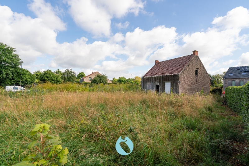 Land for sale in Lievegem - photo 5