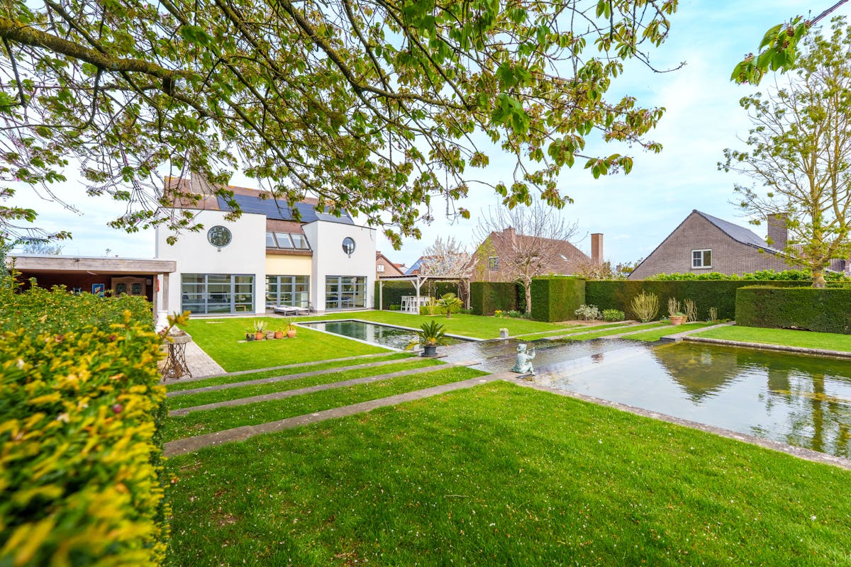 Villa op 2300 m² en vier slaapkamers te koop in Heule! - foto 4