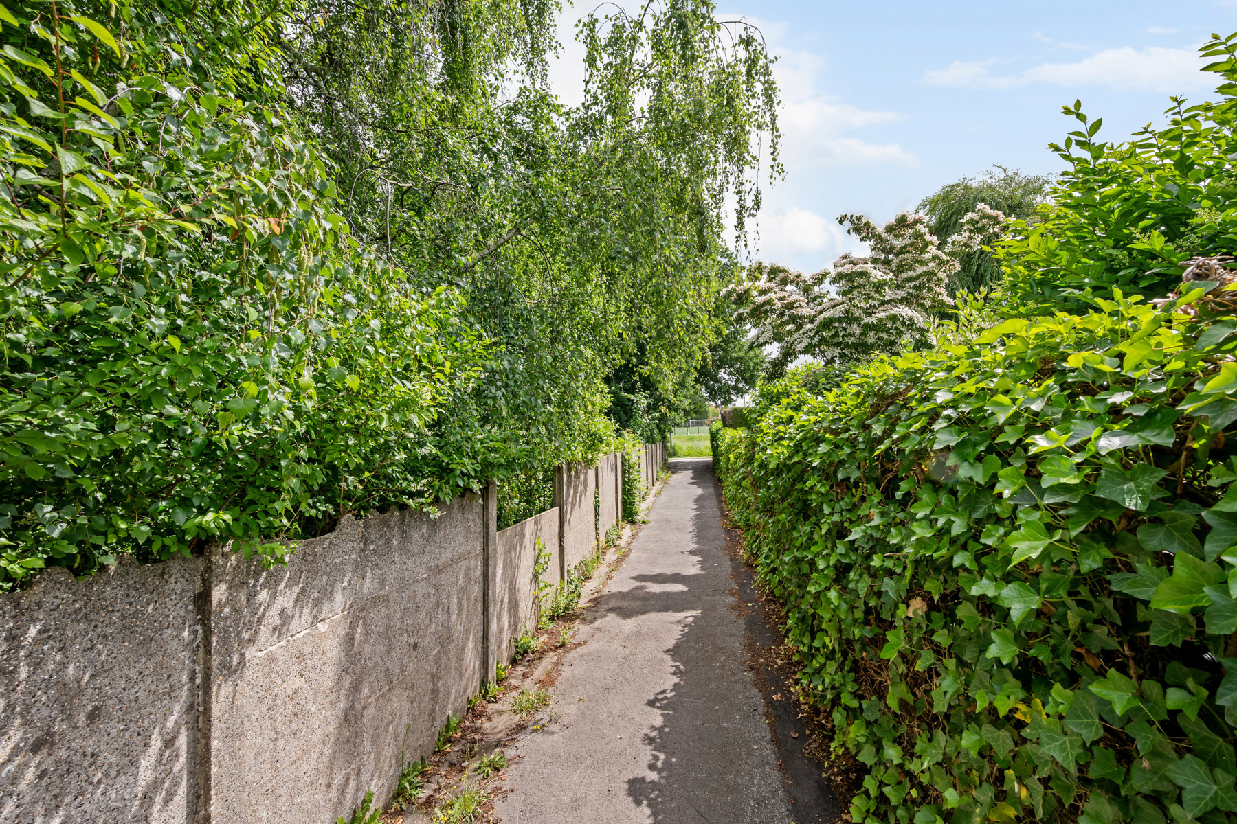 Commercial for sale in Menen - photo 5