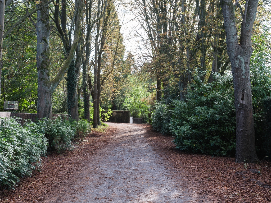 Bijzonder ruime villa (BJ 1977) op een perceel van 2.008 m² in het pittoreske Deurle. - foto 3