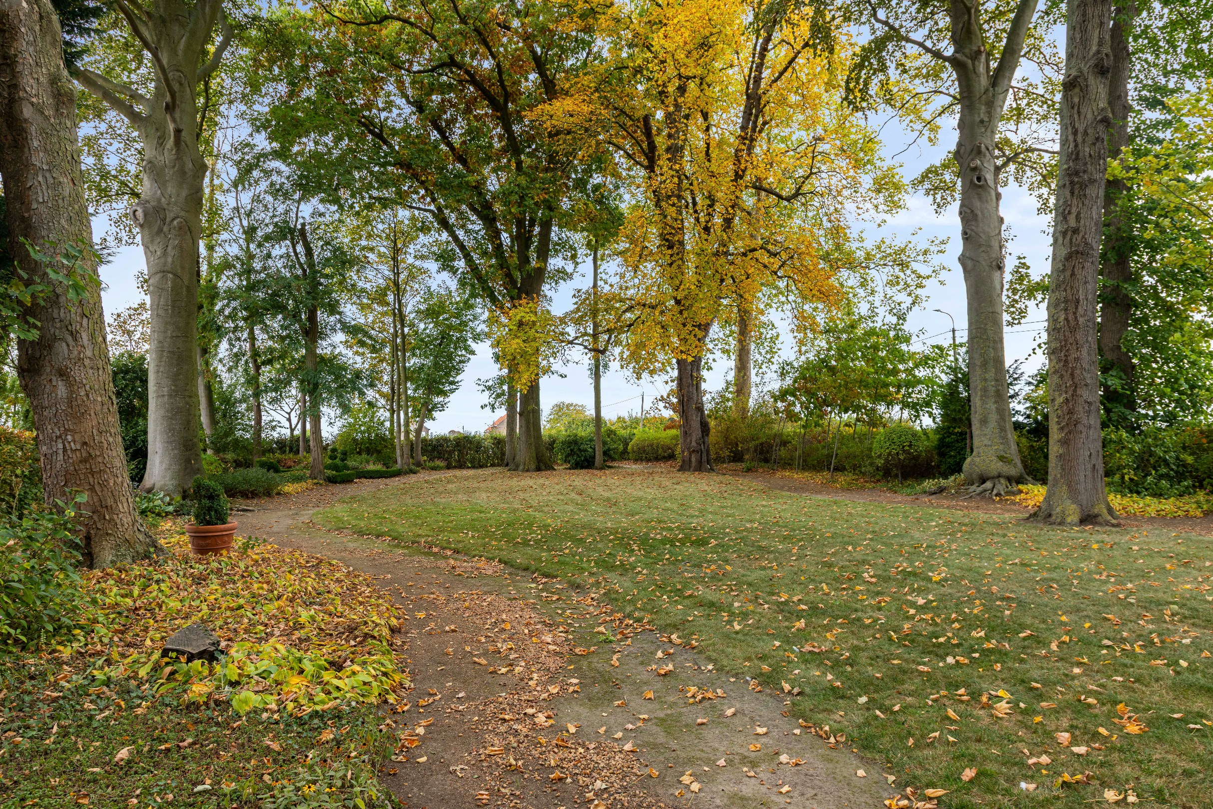 Vierkantshoeve met tal van mogelijkheden, op een perceel van (minstens) 14.233m² - foto 4