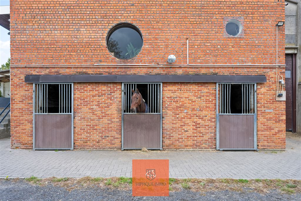 Hippisch complex met 38 stallen op ca. 1,9ha te Grimbergen - foto 5