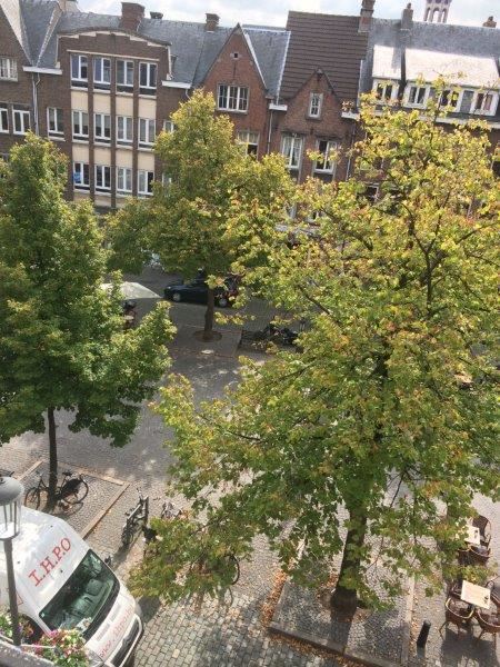 Gezellig 1 kamer appartement op de Vrijdagmarkt - foto 1