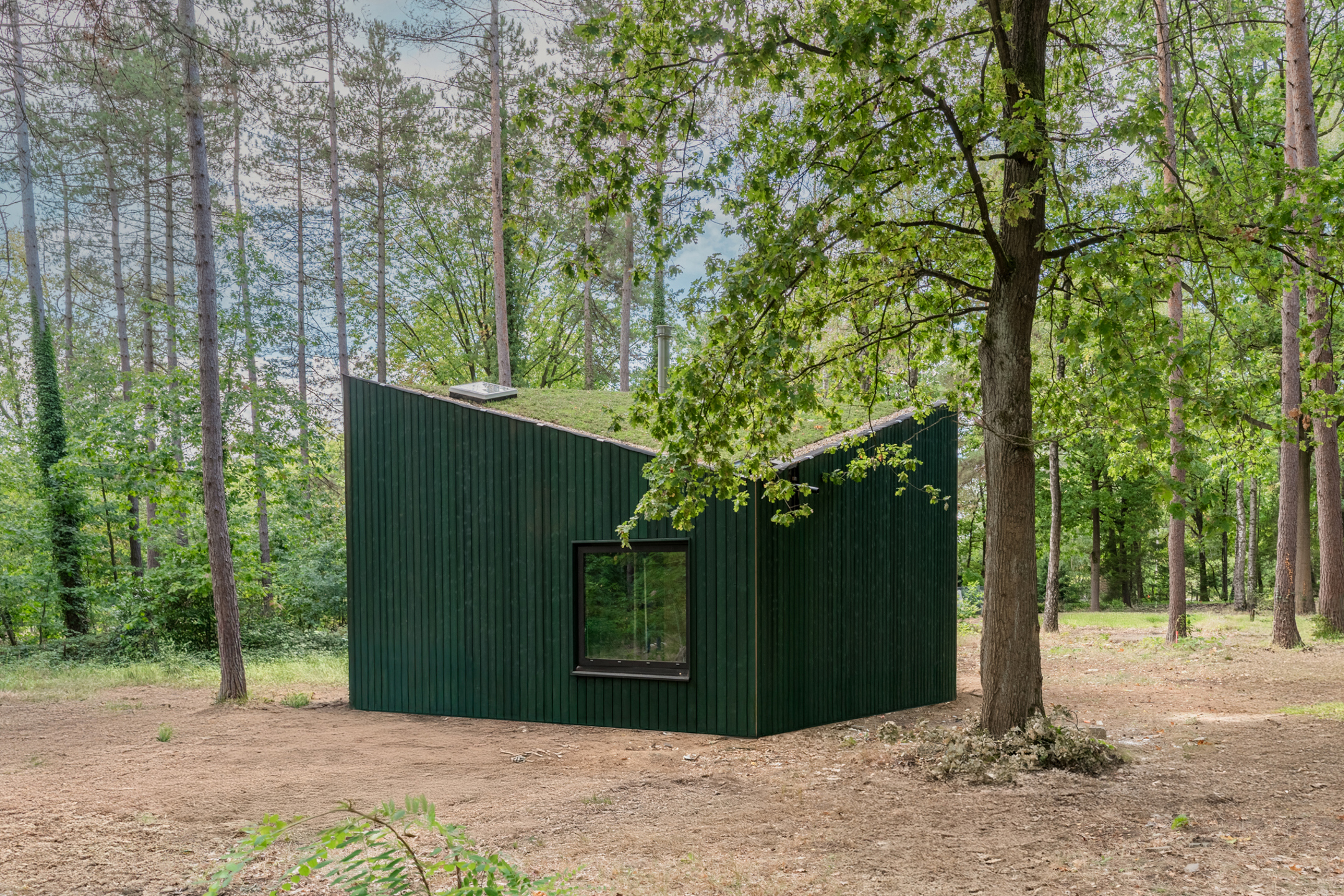 Cosy Lodge (4-persoons) - foto 4