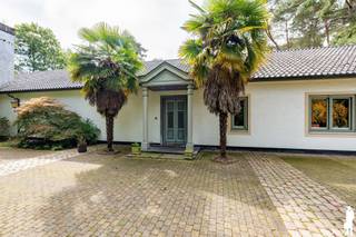 <strong>Renovatieproject op een prachtig perceel van ca. 8.300 m²</strong><br /><br /><strong>Op een uitzonderlijk groen perceel van ca. 8.300 m², met een indrukwekkende straatbreedte van ca. 83 meter, bevindt zich deze karaktervolle woning met bijzonder veel potentieel. De toplocatie in Hof ter Linden, de lange oprijlaan en de groene omkadering zorgen voor een unieke combinatie van ruimte, rust en absolute privacy.</strong><br /><br /><strong>De bestaande woning is volledig gelijkvloers opgevat in een U-vorm en biedt tal van mogelijkheden voor een grondige renovatie en herinrichting, rekening houdend met de huidge bouwvoorschriften. </strong><br /><br /><strong>Gelijkvloerse verdieping</strong><br />
<ul>
<li>een ruime <strong>inkomhal</strong></li>
<li>een <strong>woonkeuken </strong>met spoelbak en diverse inbouwtoestellen</li>
<li>een <strong>eetkamer</strong> op parket</li>
<li>een sfeervolle <strong>bibliotheek</strong> op parket met ingemaakte kasten</li>
<li>een ruime <strong>woonkamer </strong>op parket met open haard en doorgang naar buiten</li>
<li>een eerste <strong>slaapkamer</strong> op parket</li>
<li>een royale <strong>hoofdslaapkamer</strong> met <strong>dressing</strong> en ensuite <strong>badkamer</strong>, volledig uitgevoerd in marmer en voorzien van ligbad, douche, dubbele lavabo en toilet</li>
<li>een <strong>derde slaapkamer </strong>op parket met ingemaakte kasten</li>
<li>een <strong>tweede</strong> <strong>badkamer </strong>met ligbad en twee lavabo's</li>
<li>een apart <strong>toilet</strong></li>
<li>een ruim <strong>bureel </strong>met vestiaire, gastentoilet, ingemaakte kasten en technische kast, en<strong> aparte ingang</strong>, ideaal als kantoor aan huis, praktijk- of ontvangstruimte</li>
<li>een <strong>vierde slaapkamer</strong> op parket met toegang tot de badkamer</li>
<li>een volledig ingerichte <strong>bijkeuken</strong> met inbouwtoestellen en dubbele spoelbak</li>
<li>een ruime <strong>hobbykamer/polyvalente ruimte/tuinkamer</strong></li>
<li>een dubbele inpandige <strong>garage </strong>met zolderruimte</li>
</ul>
<strong>Kelder</strong><br />
<ul>
<li>een praktische <strong>kelder</strong></li>
<li>een afzonderlijke <strong>wijnkelder</strong></li>
<li>extra <strong>bergruimte</strong></li>
</ul>
<strong>Algemeen:</strong><br />
<ul>
<li><strong>Toplocatie in Hof ter Linden</strong></li>
<li><strong>Uitzonderlijk perceel </strong>met <strong>bijzonder veel potentieel</strong></li>
<li>Volledig <strong>gelijkvloerse </strong>woning in <strong>karaktervolle U-vorm</strong></li>
<li><strong>Interessante</strong> <strong>mogelijkheden </strong>voor een <strong>grondige renovatie </strong>en <strong>herinrichting</strong></li>
<li>Huidige constructie niet volledig vergund</li>
<li><strong>Renovatie mogelijk aan 6% btw (onder voorwaarden) </strong></li>
</ul>
<strong>Gelegen in de gegeerde omgeving van Hof ter Linden, waar de royale perceeloppervlakte, brede straatzijde, lange oprijlaan en groene omkadering een uitzonderlijk private woonomgeving creëren. Een unieke opportuniteit voor wie op zoek is naar een renovatieproject met ruimte, karakter en bijzonder veel mogelijkheden.</strong>