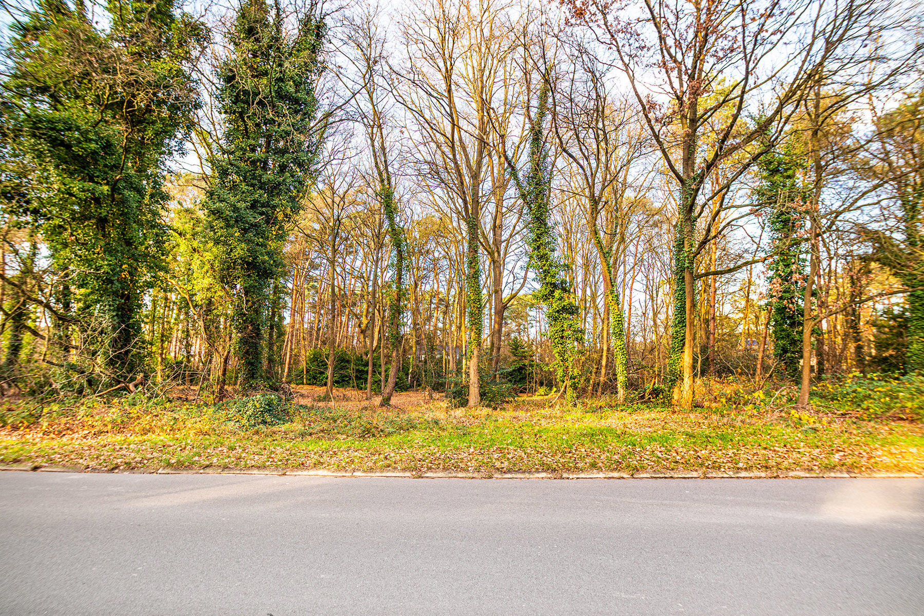 Exclusieve bouwgrond van 4.370 m² in “Golf &amp; Meer”-domein - foto 5