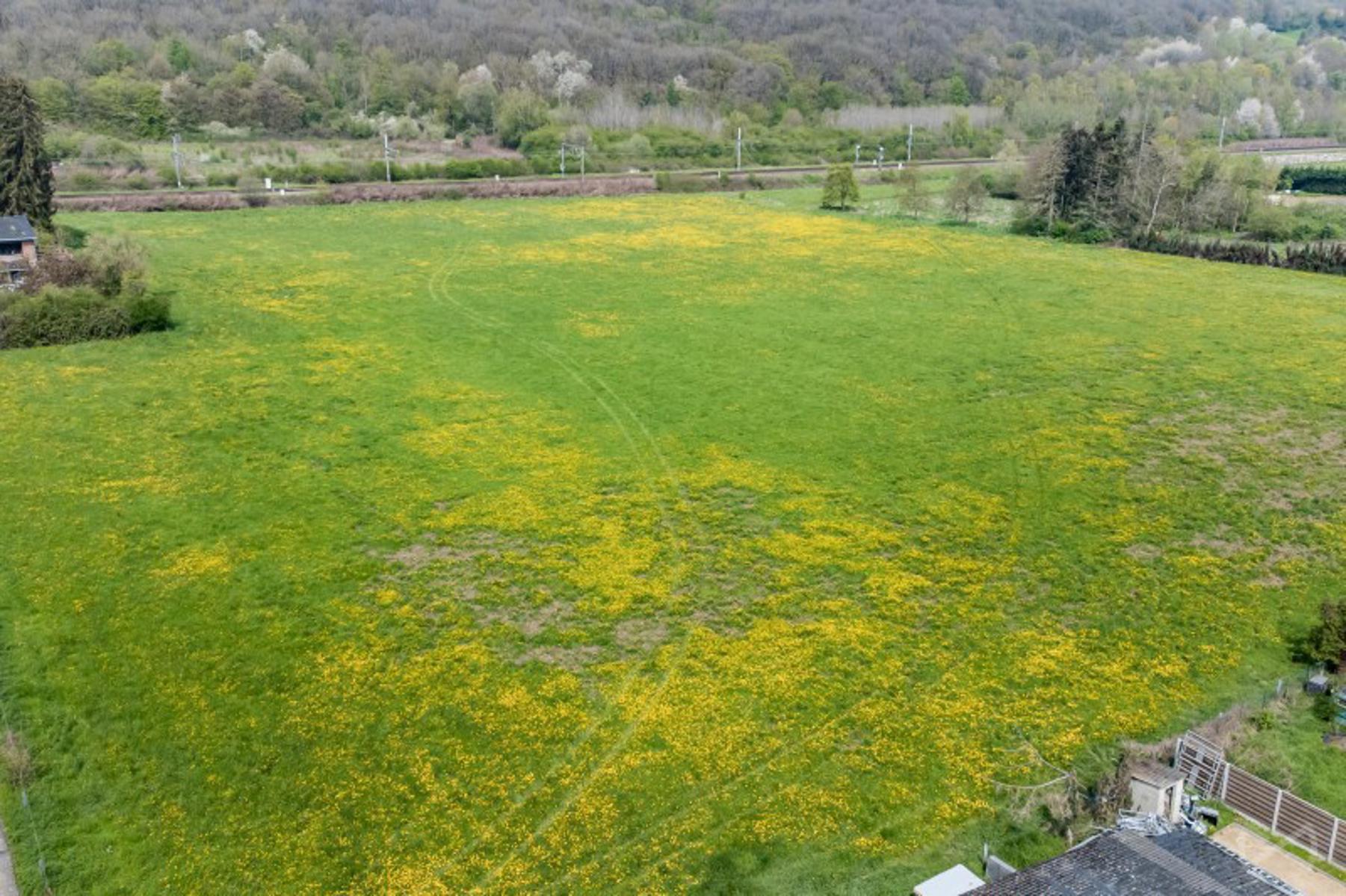 Grond te koop in Wanze - foto 5