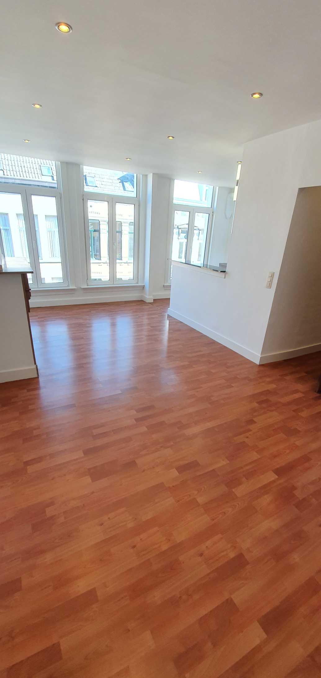 Appartement te huur in Antwerpen met 1 slaapkamer - foto 2