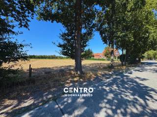 Karaktervolle hoeve op een idyllische locatie op circa 1 hectare grond!<br /><br /><span><span><span><span><span><span><span><span><span><span><span><span><span><span>Rust, ruimte en groen, gecombineerd met een verrassend vlotte bereikbaarheid.</span><span> Dat is wat deze karaktervolle hoeve te Maldegem zo bijzonder maakt.</span></span></span></span></span></span></span></span></span></span></span></span></span></span><br /><span><span><span><span><span><span><span><span><span><span><span><span><span><span>Wie op zoek is naar een eigendom waar </span><span>ruimte en privacy</span><span> nog volop aanwezig zijn, zal zich hier onmiddellijk aangesproken voelen. De hoeve ligt in een heerlijk groene en landelijke omgeving, omgeven door open ruimte en natuur, en biedt dankzij het ruime perceel van circa </span><span>1 hectare</span><span> een uitzonderlijk gevoel van vrijheid.</span></span></span></span></span></span></span></span></span></span></span></span></span></span><br /><span><span><span><span><span><span><span><span><span><span><span><span><span><span>Hier geniet u van de rust van het buitenleven, terwijl u toch niet afgelegen woont. De ligging biedt een </span><span>vlotte verbinding met Maldegem en de omliggende gemeenten</span><span>, waardoor winkels, scholen, dagelijkse voorzieningen en belangrijke verbindingswegen gemakkelijk bereikbaar zijn. Een ideale combinatie voor wie rustig wil wonen zonder in te leveren op bereikbaarheid.</span></span></span></span></span></span></span></span></span></span></span></span></span></span><br /><span><span><span><span><span><span><span><span><span><span><span><span><span><span>Een plek met karakter en mogelijkheden</span></span></span></span></span></span></span></span></span></span></span></span></span></span><br /><span><span><span><span><span><span><span><span><span><span><span><span><span><span>De hoeve beschikt over een bijzonder ruim perceel van ongeveer </span><span>10.000 m²</span><span>, waardoor de eigendom tal van mogelijkheden biedt voor wie houdt van ruimte, groen en buitenleven.</span></span></span></span></span></span></span></span></span></span></span></span></span></span><br /><span><span><span><span><span><span><span><span><span><span><span><span><span><span>De uitgestrekte grond biedt volop plaats voor een grote tuin, weiland, boomgaard of andere buitenbeleving, uiteraard afhankelijk van de geldende stedenbouwkundige voorschriften en vergunningen.</span></span></span></span></span></span></span></span></span></span></span></span></span></span><br /><span><span><span><span><span><span><span><span><span><span><span><span><span><span>De landelijke setting zorgt bovendien voor een unieke woonervaring: wakker worden met zicht op het groen, genieten van lange zomeravonden in alle rust en kinderen of huisdieren alle ruimte geven om buiten te leven.</span></span></span></span></span></span></span></span></span></span></span></span></span></span><br /><span><span><span><span><span><span><span><span><span><span><span><span><span><span>Idyllisch wonen, praktisch gelegen</span></span></span></span></span></span></span></span></span></span></span></span></span></span><br /><span><span><span><span><span><span><span><span><span><span><span><span><span><span>De absolute troef van deze eigendom is de </span><span>bijzondere ligging</span><span>.</span></span></span></span></span></span></span></span></span></span></span></span></span></span><br /><span><span><span><span><span><span><span><span><span><span><span><span><span><span>De hoeve bevindt zich in een rustige, groene omgeving waar het landelijke karakter nog duidelijk voelbaar is. Tegelijkertijd is de bereikbaarheid uitstekend. Via de nabijgelegen verbindingswegen zijn </span><span>Maldegem, Eeklo, Brugge en de omliggende gemeenten</span><span> vlot bereikbaar.</span></span></span></span></span></span></span></span></span></span></span></span></span></span><br /><span><span><span><span><span><span><span><span><span><span><span><span><span><span>Zo combineert deze eigendom het beste van twee werelden:</span></span></span></span></span></span></span></span></span></span></span></span></span></span><br /><span><span><span><span><span><span><span><span><span><span><span><span><span><span>de charme en rust van het platteland, met de praktische bereikbaarheid van een goed ontsloten locatie.</span></span></span></span></span></span></span></span></span></span></span></span></span></span><br /><span><span><span><span><span><span><span><span><span><span><span><span><span><span>Een zeldzame opportuniteit</span></span></span></span></span></span></span></span></span></span></span></span></span></span><br /><span><span><span><span><span><span><span><span><span><span><span><span><span><span>Een eigendom met een perceel van circa één hectare, een landelijke ligging en een dergelijke bereikbaarheid komt maar zelden op de markt.</span></span></span></span></span></span></span></span></span></span></span></span></span></span><br /><span><span><span><span><span><span><span><span><span><span><span><span><span><span>Of u nu droomt van een </span><span>landelijke gezinswoning, een ruime eigendom met veel privacy of een plek waar wonen en genieten van het buitenleven centraal staan</span><span>, deze hoeve biedt een uitzonderlijk uitgangspunt.</span></span></span></span></span></span></span></span></span></span></span></span></span></span><br /><span><span><span><span><span><span><span><span><span><span><span><span><span><span>Dit is geen gewone woning, maar een plek met ruimte, karakter en toekomstmogelijkheden.</span></span></span></span></span></span></span></span></span></span></span></span></span></span><br /><span><span><span><span><span><span><span><span><span><span><span><span><span><span>Een eigendom voor wie bewust kiest voor </span><span>groen, rust, vrijheid en ruimte</span><span>, zonder de verbinding met de buitenwereld te verliezen.</span></span></span></span></span></span></span></span></span></span></span></span></span></span><br /><br /><span><span><span><span><span><span><span><span><span><span><span><span><span><span>Een bezoek ter plaatse laat u pas echt de unieke sfeer en mogelijkheden van deze hoeve ervaren. Aarzel zeker niet om ons te contacteren voor een bezoek ter plaatse: 050/70.01.02 - info@centro.be.</span></span></span></span></span></span></span></span></span></span></span></span></span></span>