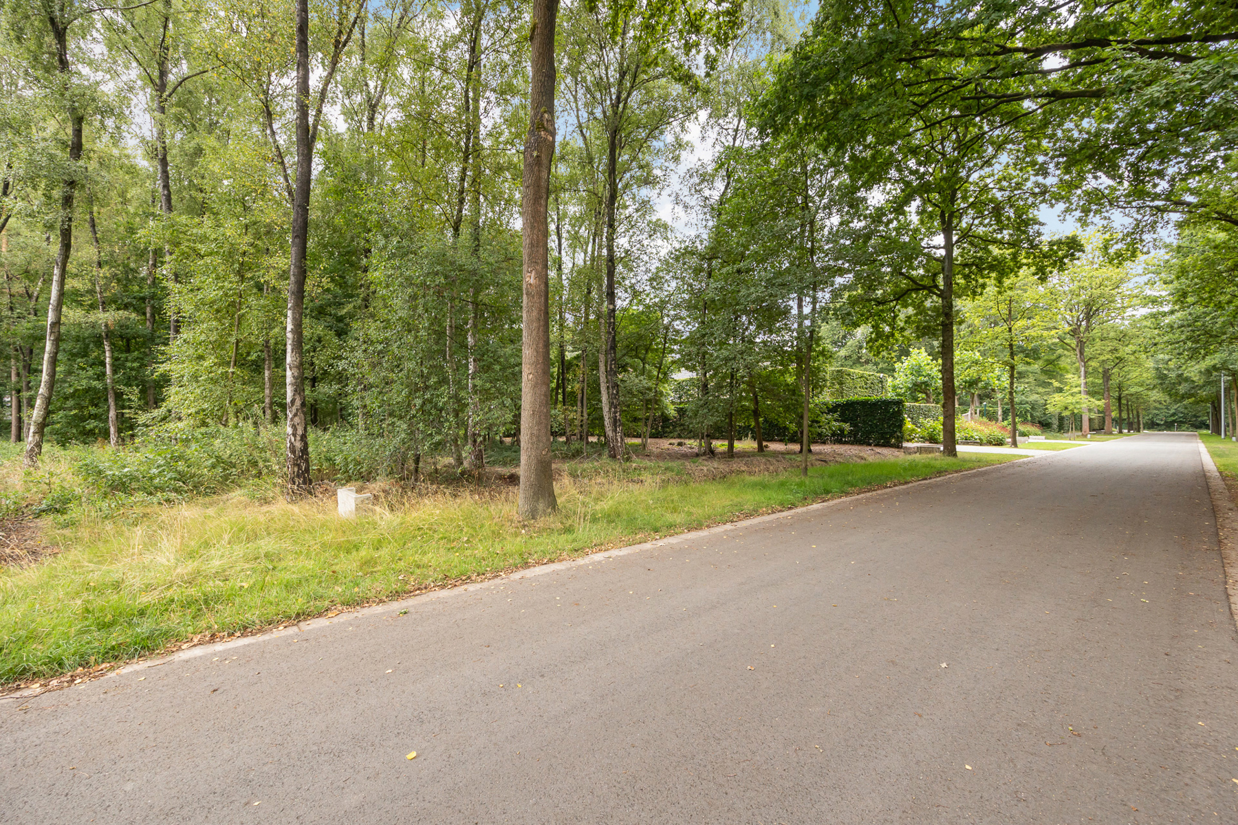 Land for sale in Merksplas - photo 5
