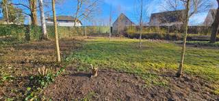 In een gezellig, rustig, doodlopend straatje zonder doorgaand verkeer, op fietsafstand van het levendige centrum van Leuven en vlak bij...