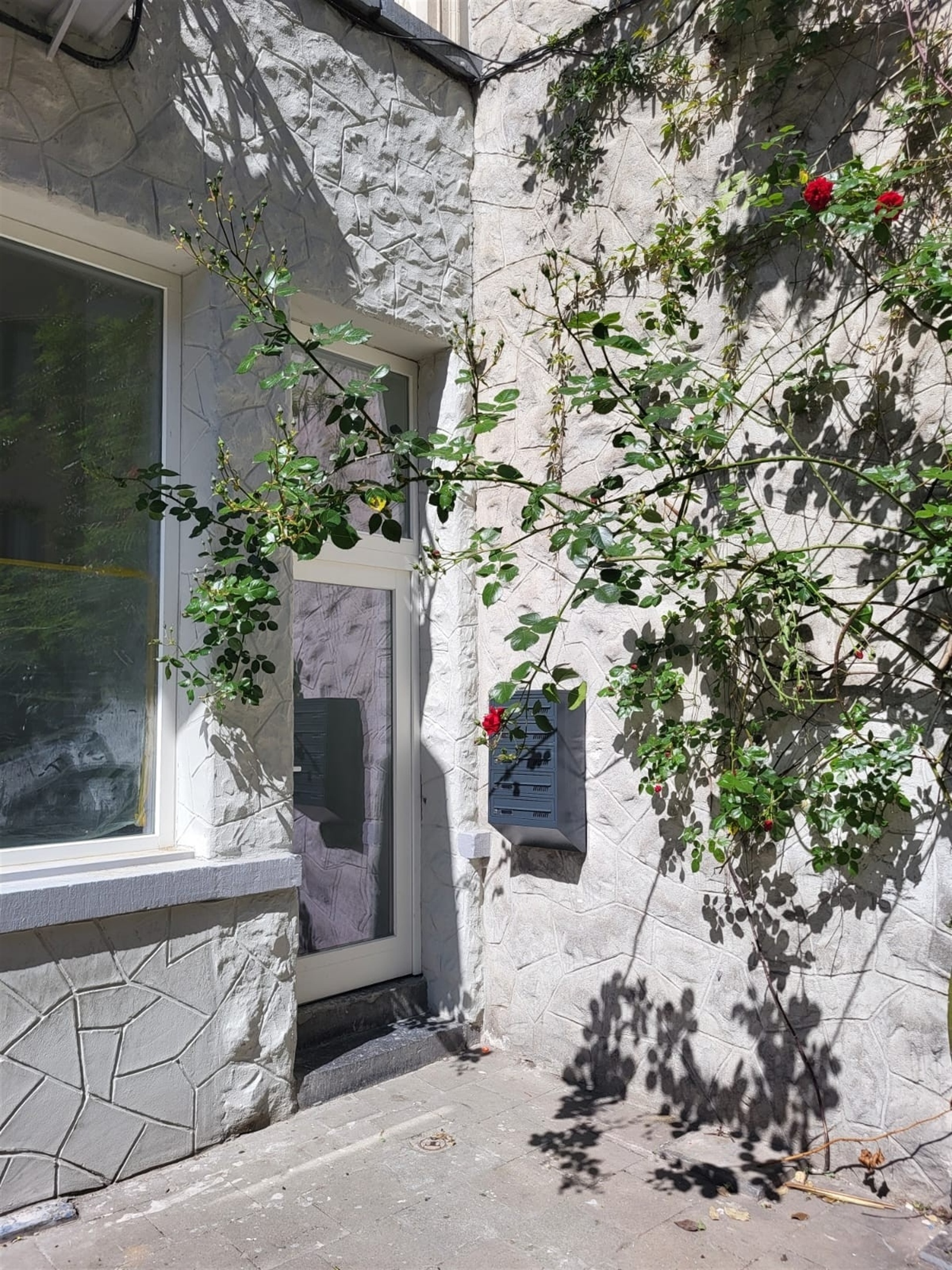 Sint-Katelijne ∣ Commercieel gelijkvloers met kelder  - foto 3