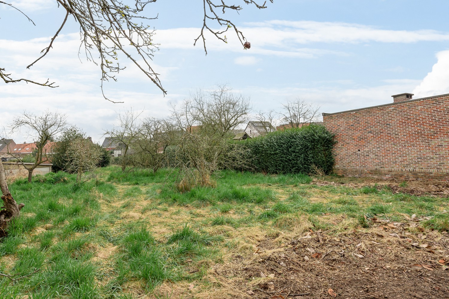 Terrain à vendre à Lint - photo 5