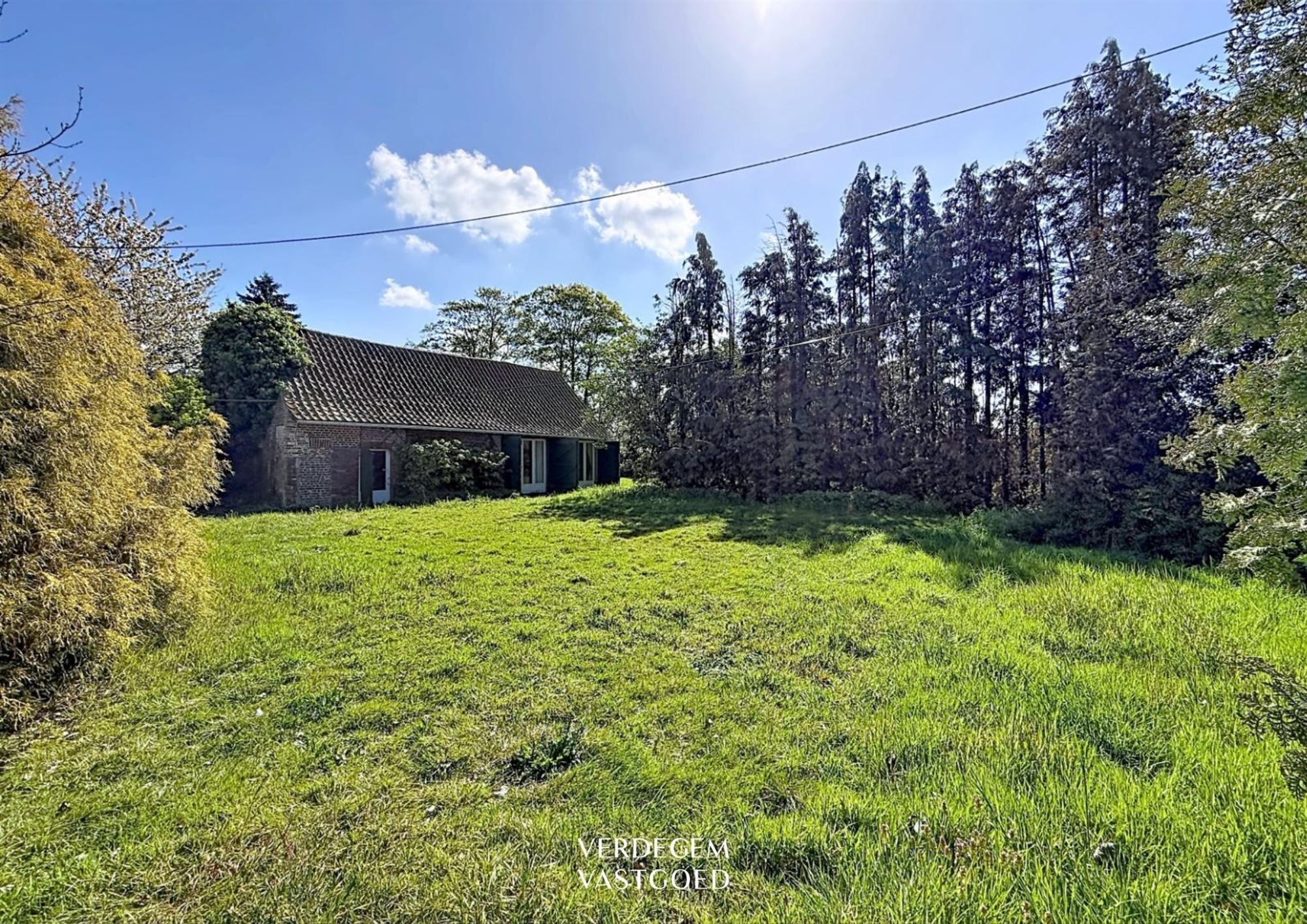 House - photo 4