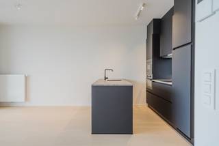 Op zoek naar een instapklaar appartement op een aantrekkelijke ligging in Kortrijk? Dit verzorgd 2-slaapkamerappartement in residentie Kaskade combineert hedendaags wooncomfort met een prachtig zicht op de Leie.<br />Het appartement werd volledig geschilderd en is voorzien van gordijnen en lichtarmaturen, waardoor u meteen uw intrek kunt nemen. <br /><br />De lichtrijke leefruimte geeft uit op het terras waar u in alle rust van het uitzicht kunt genieten. Het terras beschikt bovendien over een vliegraam en een praktische terrasberging. <br />In de leefruimte, nachthal en slaapkamers werd parket voorzien, wat zorgt voor een warme en verzorgde uitstraling. <br /><br />De open keuken is uitgerust met een ingebouwde koelkast, vaatwasser, oven en microgolfoven. Verder beschikt het appartement over een badkamer met inloopdouche en lavabomeubel, een afzonderlijk toilet en een praktische wasberging.<br />Een ondergrondse parkeerplaats is inbegrepen en je kan gebruikmaken van de gemeenschappelijke fietsstalling.<br /><br />Bovenop de huurprijs: € 75/maand provisie syndickosten.<br /><br /><br />Waarom dit appartement overwegen?<br /><br />✔ Zicht op de Leie<br />✔ Volledig geschilderd<br />✔ Gordijnen en lichtarmaturen aanwezig<br />✔ Parket in leefruimte en slaapkamers<br />✔ Afzonderlijk toilet<br />✔ Terras met berging<br />✔ Ondergrondse parkeerplaats inbegrepen<br />✔ Gemeenschappelijke fietsstalling<br /><br />Een instapklaar appartement op een toplocatie langs de Leie, klaar voor zijn nieuwe huurder.<br /><br />Geïnteresseerd? Vul eenvoudig het contactformulier in en we nemen spoedig contact op.