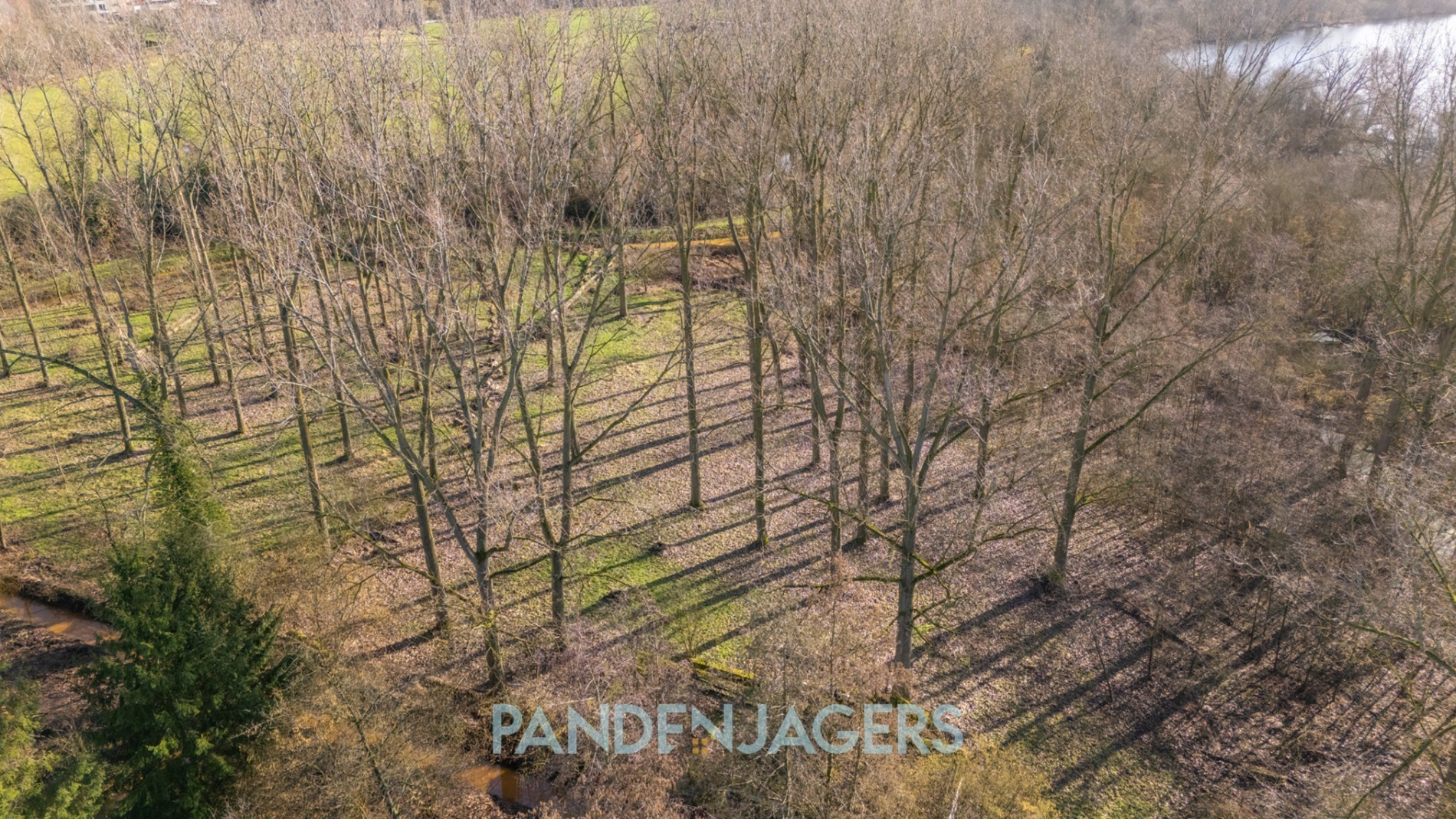 Uniek perceel weiland/bos van 10.110 m² te Battenbroek (Walem) - foto 4