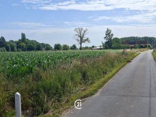 Goedgelegen perceel landbouwgrond met een oppervlakte van 46 are 55 centiare. Het perceel is rechtstreeks bereikbaar vanaf de openbare weg, wat zorgt voor een vlotte toegankelijkheid met landbouwvoertuigen.De grond is momenteel verpacht. Ideaal als investering of voor landbouwdoeleinden, met inachtneming van de bestaande pachtovereenkomst.