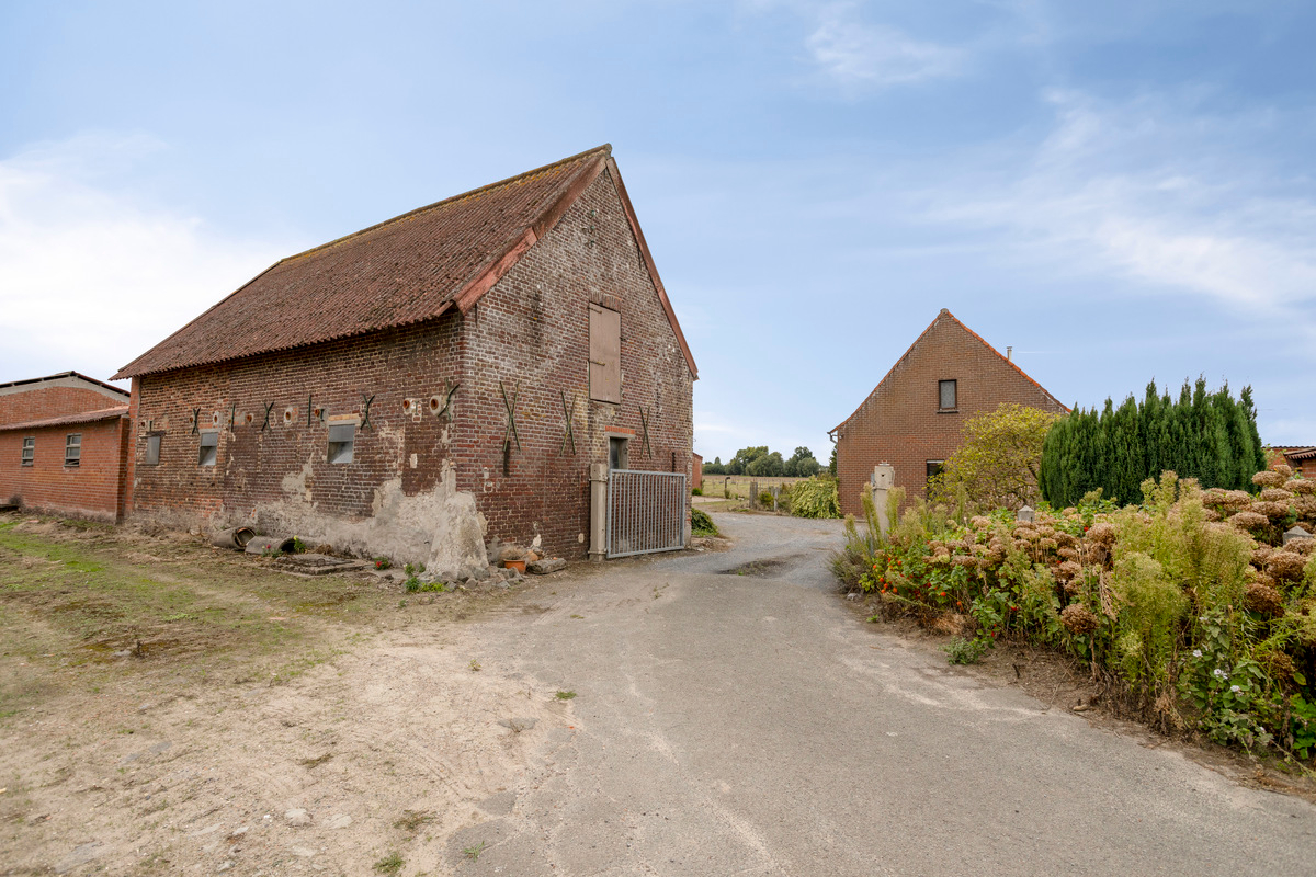 Authentieke hoeve met bijgebouwen in Baliebrugge op een oppervlakte van 7937 m² - foto 5