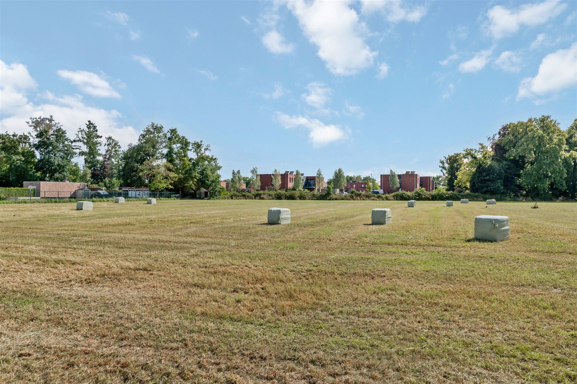 Terrain à vendre à Balen - photo 2