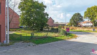 Terrain à vendre à Tessenderlo-Ham