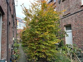 PLAN UW BEZOEK IN VIA ONZE WEBSITE: WWW.IMMOBOSS.BEDit gezellig beluikhuisje is gelegen in een cité van 21 identieke woningen met gemeenschappelijke...