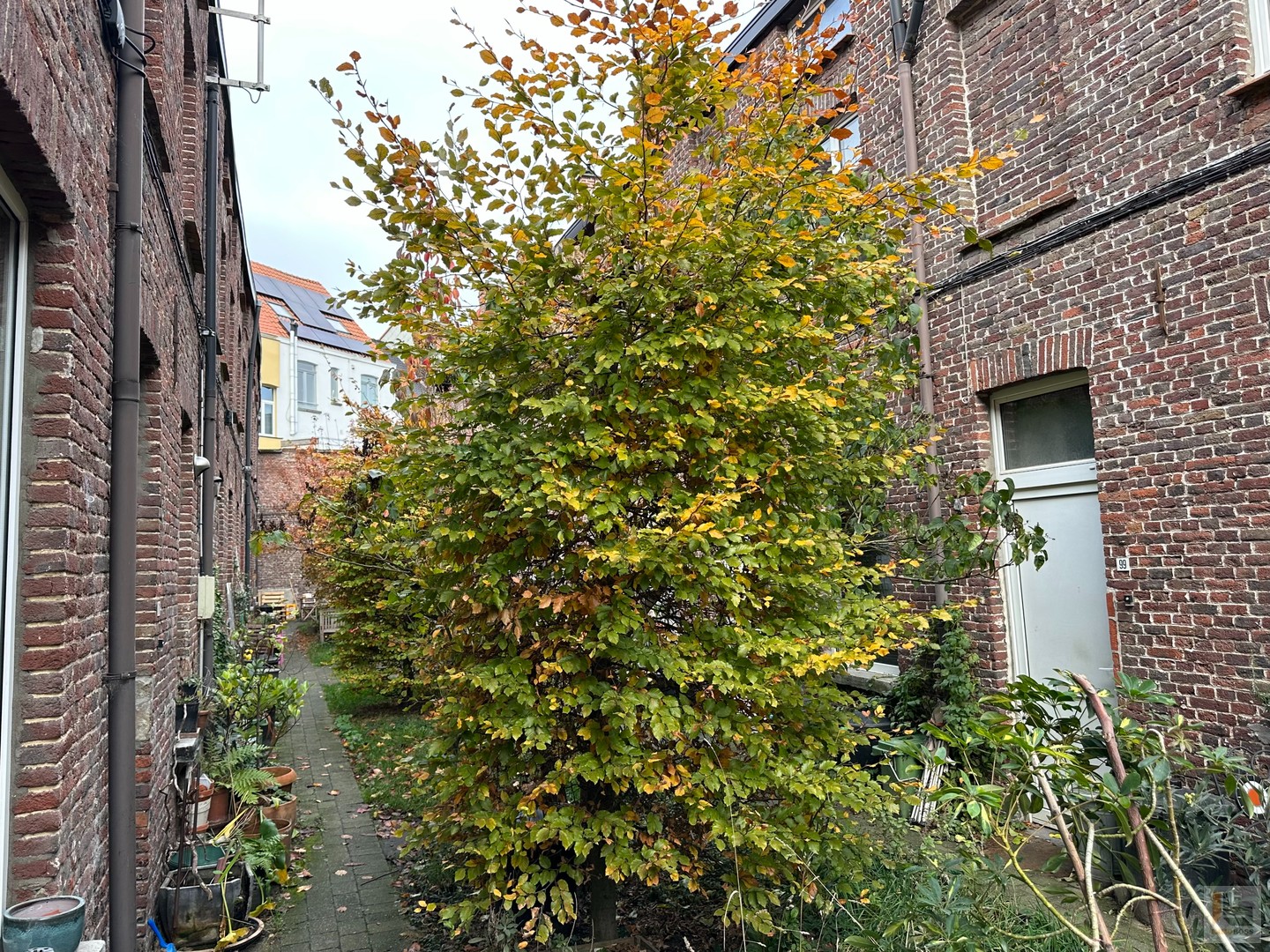 Rustig gelegen beluikhuisje nabij centrum Gent! - photo 1