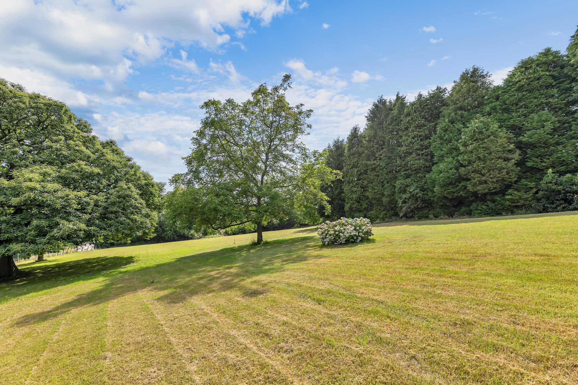 Ruime bouwgrond voor open bebouwing in Dilbeek - foto 5